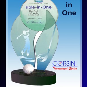 hole in one